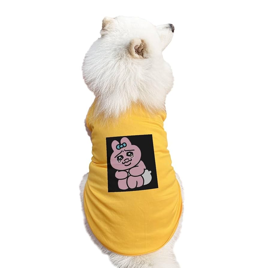 犬服・アクセサリー ono 楽天市場】【期間限定】全品10％OFFクーポンドッグアクセサリー